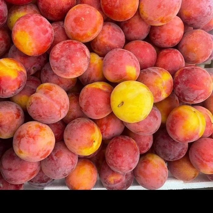 

Plum aprium red velvet fresh - Buah plum red velvet 500 grm