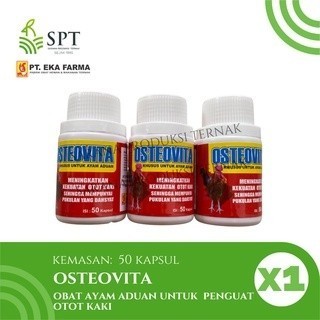 Kaitong - OSTEOVITA OBAT AYAM ADUAN PENGUAT OTOT KAKI 50 KAPSUL EKA FARMA - TERLARIS