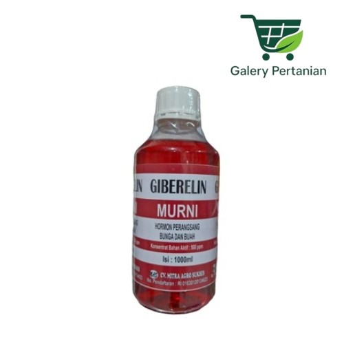 Giberelin Murni 1 Liter Mendukung Pembungaan dan Mencegah Bunga Rontok. Giberelin