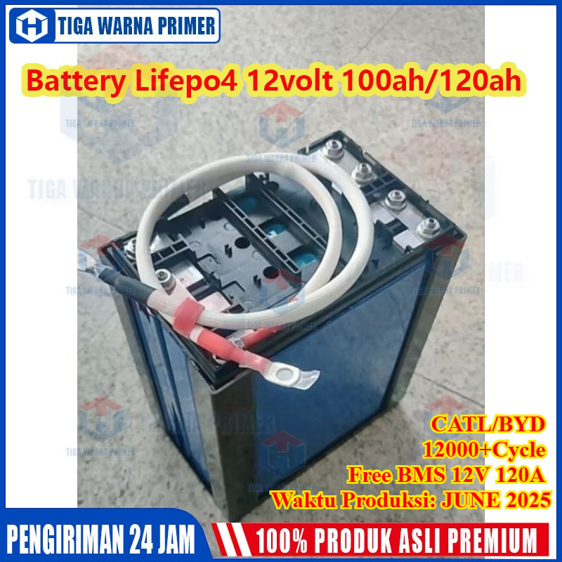 Battery Lifepo4 12v/24v 100ah/120AH + BMS
