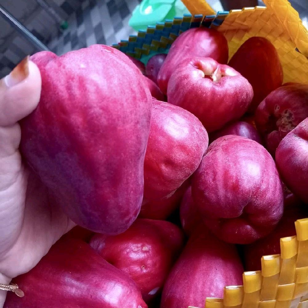JAMBU JAMAIKA 1 KG / BUAH JAMBU BOL FRESH MERAH MERONA MANIS Buah Frozen