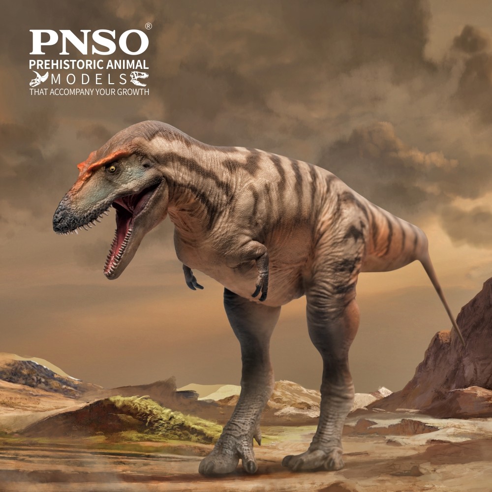 PNSO Prehistoric nosaur Models:71Tristan the Gorgosaurus