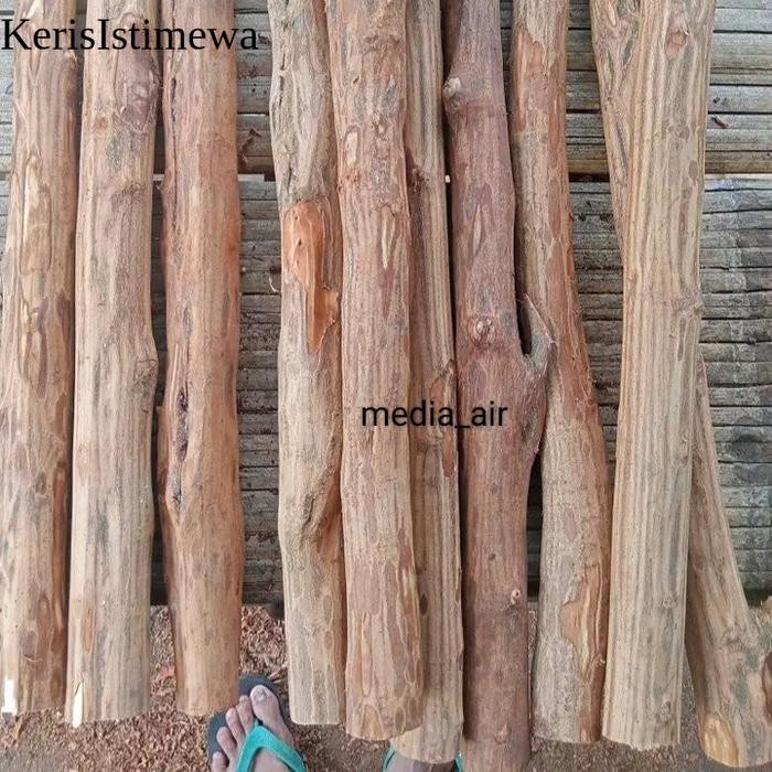 batang kayu Rasamala lurus 50cm batang dekorasi artificial aquascape - S KIS3