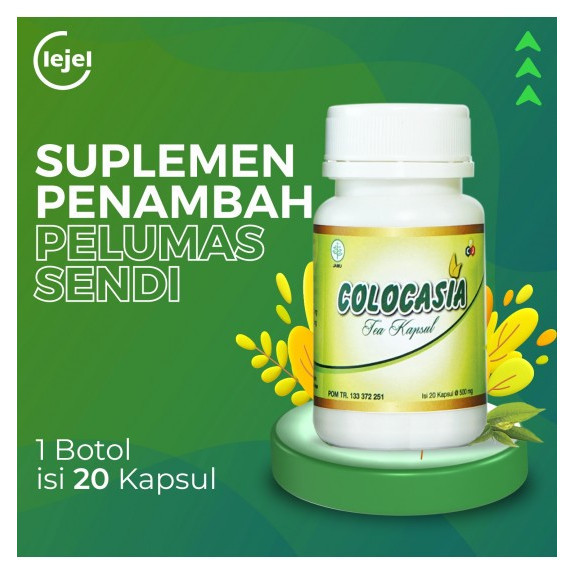 OBAT SENDI COLOCASIA Obat Nyeri Sendi Lutut Dan Otot Colocasia Tea Herbal Original
