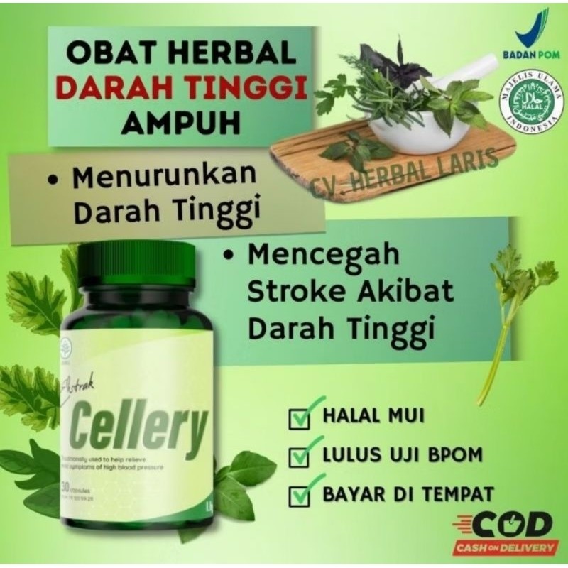 CELLERY ASLI ORIGINAL OBAT HERBAL ATASI HIPERTENSI DARAH TINGGI ORIGINAL sedia HEALTIK ORIGINAL
