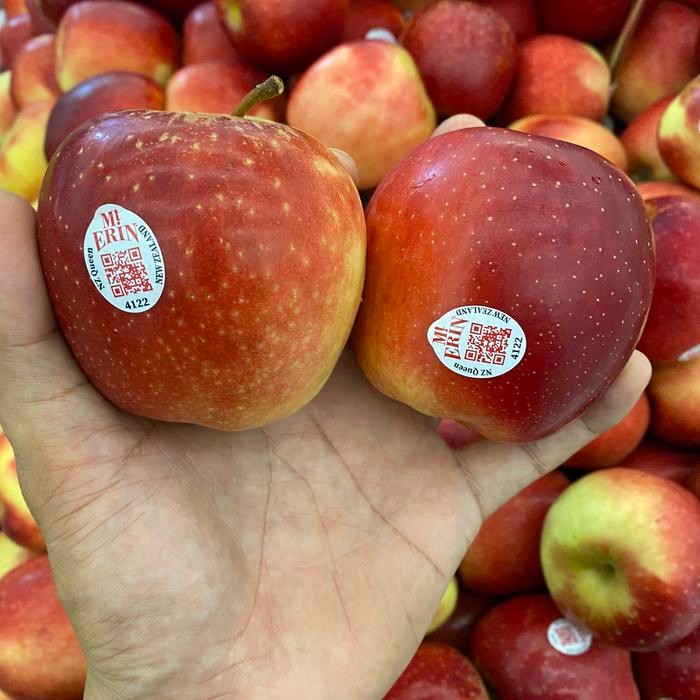 

Apel pasific queen super garing manis 1 kg