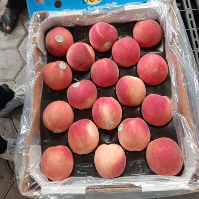 

Promo peach white autralia super | Buah peach manis 1kg