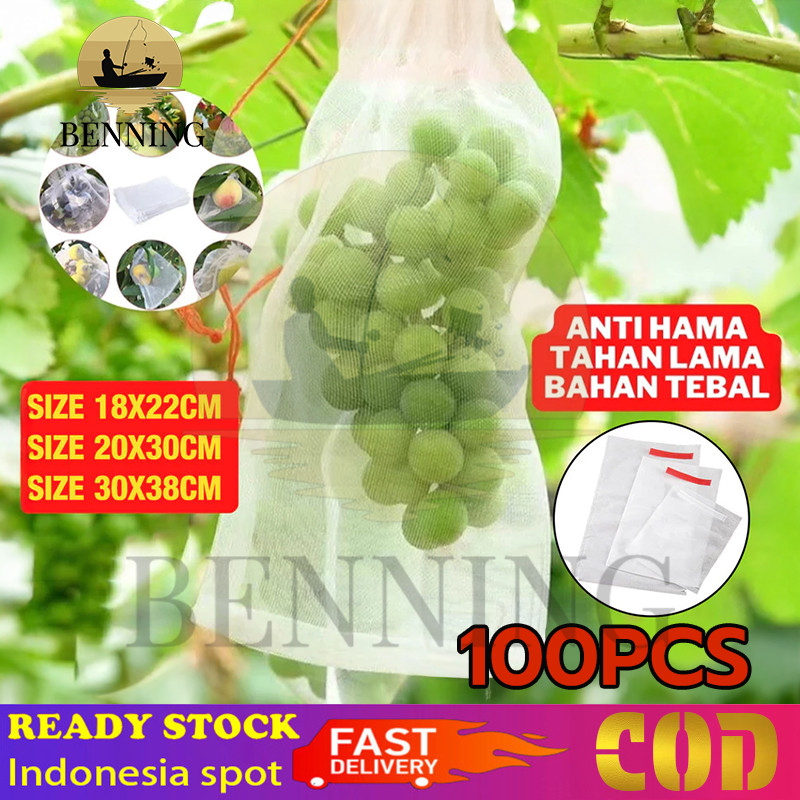 BENNING 100PCS Fruit Cover/Pembungkus Buah/Fruit Cover Anti Serangga/Fruit cover net jaring transpar