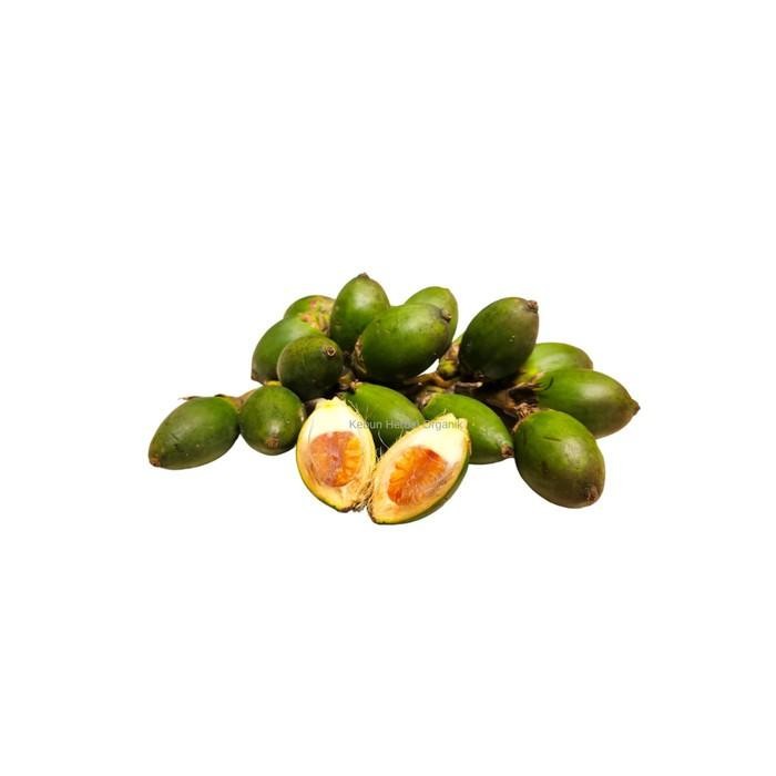 

Buah Pinang Muda Segar 1 Kg Jambe Nome Untuk Stamina Pria Dewasa