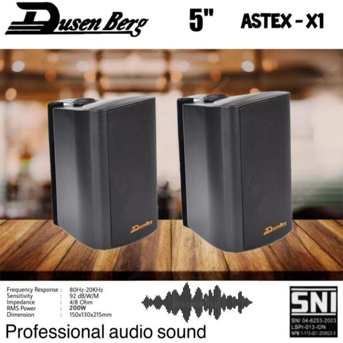 Speaker Pasif Dusenberg 5 inch / Speaker wall Dusenberg Astex by Blezzystore