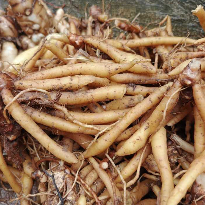 

Temu Kunci Segar Fresh 1 Kg