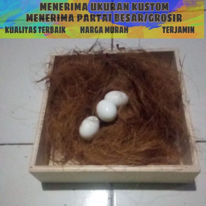 Sepaket Tempat Bertelur Sarang Burung Merpati Dekukur Puter Perkutut Kotak Serat Kelapa