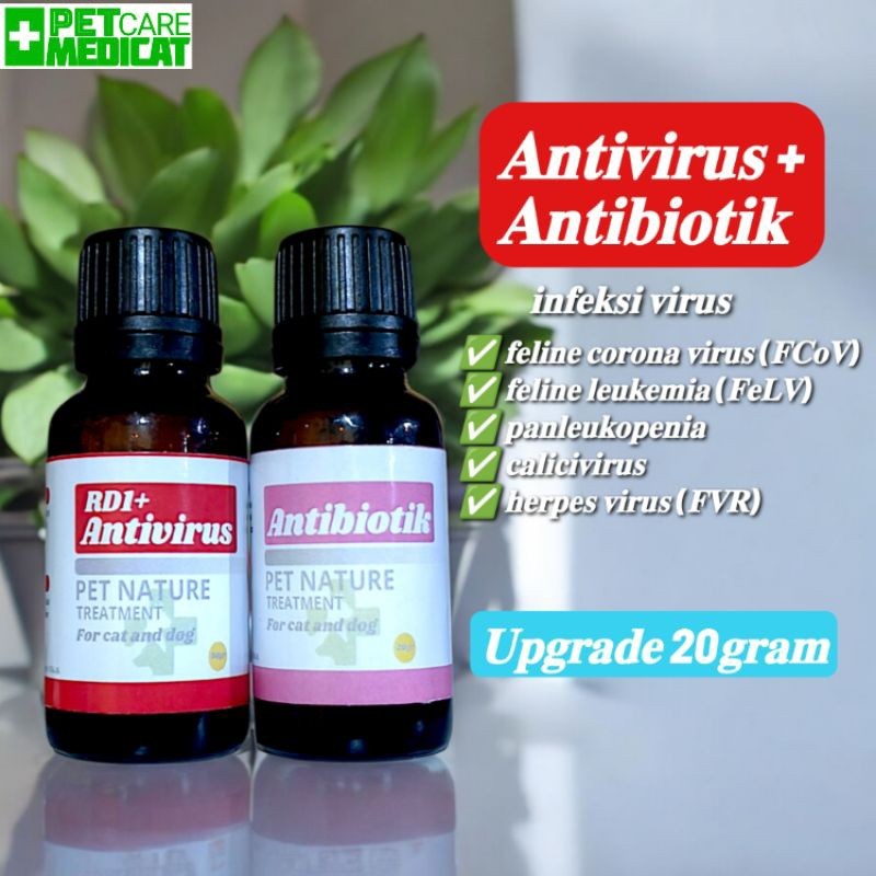 PROMO Obat virus kucing obat virus kucing 20gram obat virus + antibiotik PETCARE MEDICAT cd-33