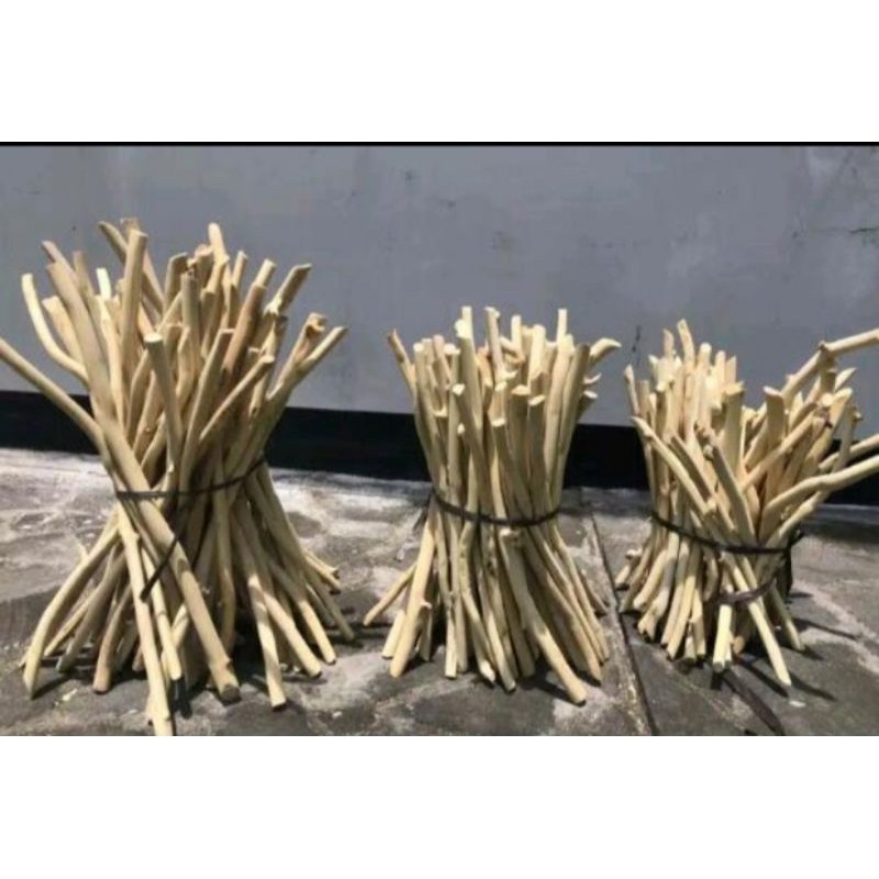 Ranting kayu jati kering