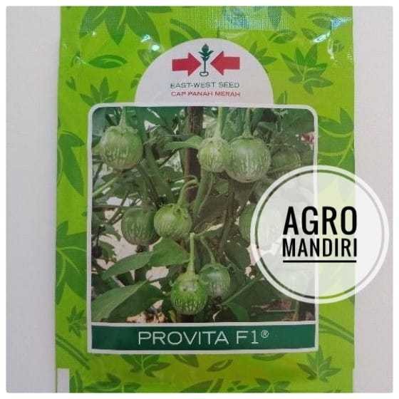 Isi 1100 Benih Terong Bulat Lalap Hijau PROVITA F1 Hibrida Cap Panah Merah Surabaya