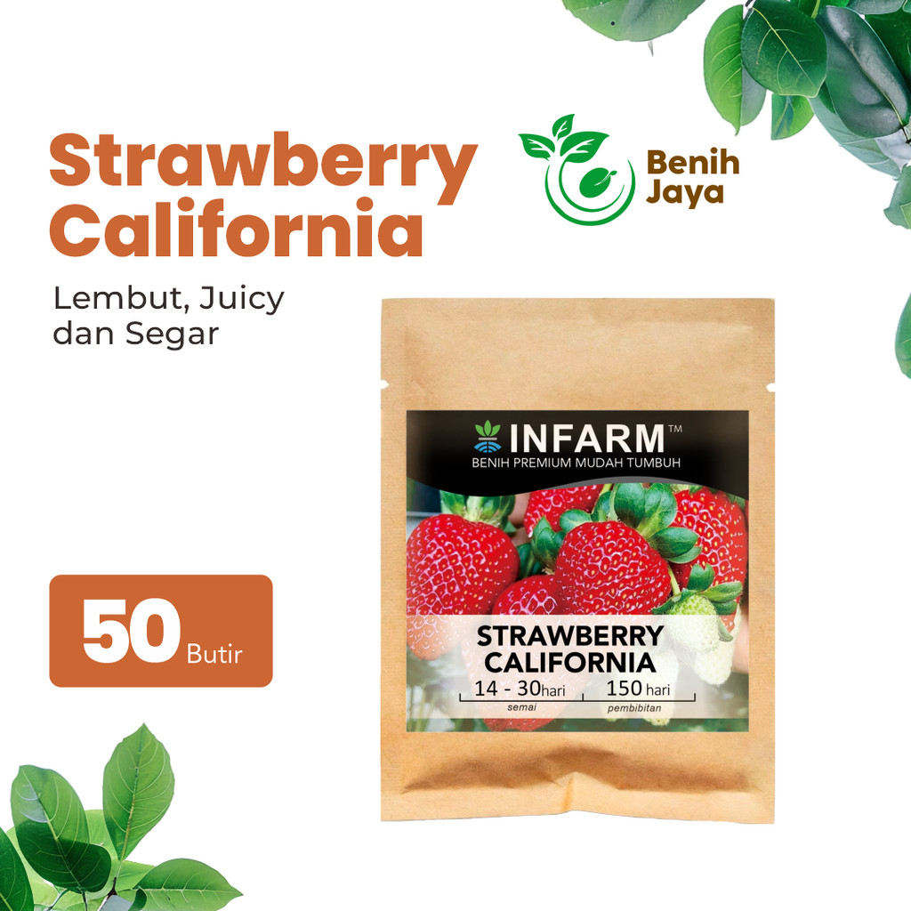 BENIH JAYA - Bibit Strawberry California 50 Butir Benih Buah Strawberry Merah Besar Manis Segar Biji