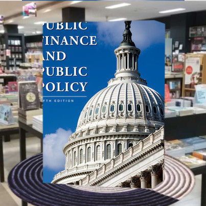Public finance and public policy