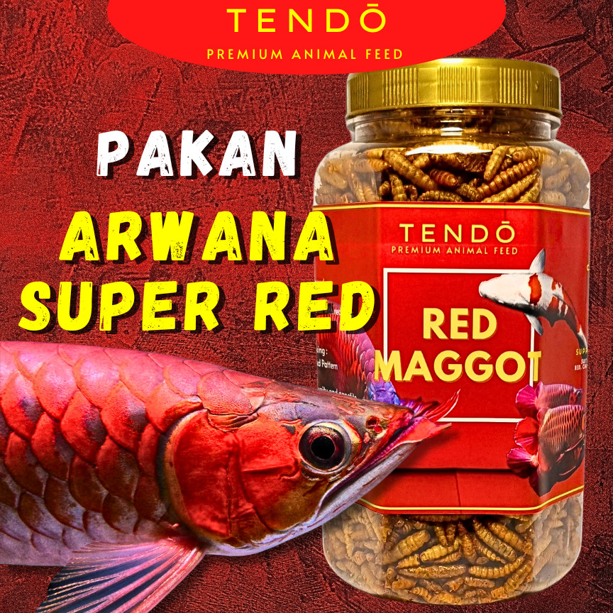 TERLARIS Maggot & Udang Kering Premium – Pakan Ikan Arwana Super Red Color Booster Tendo