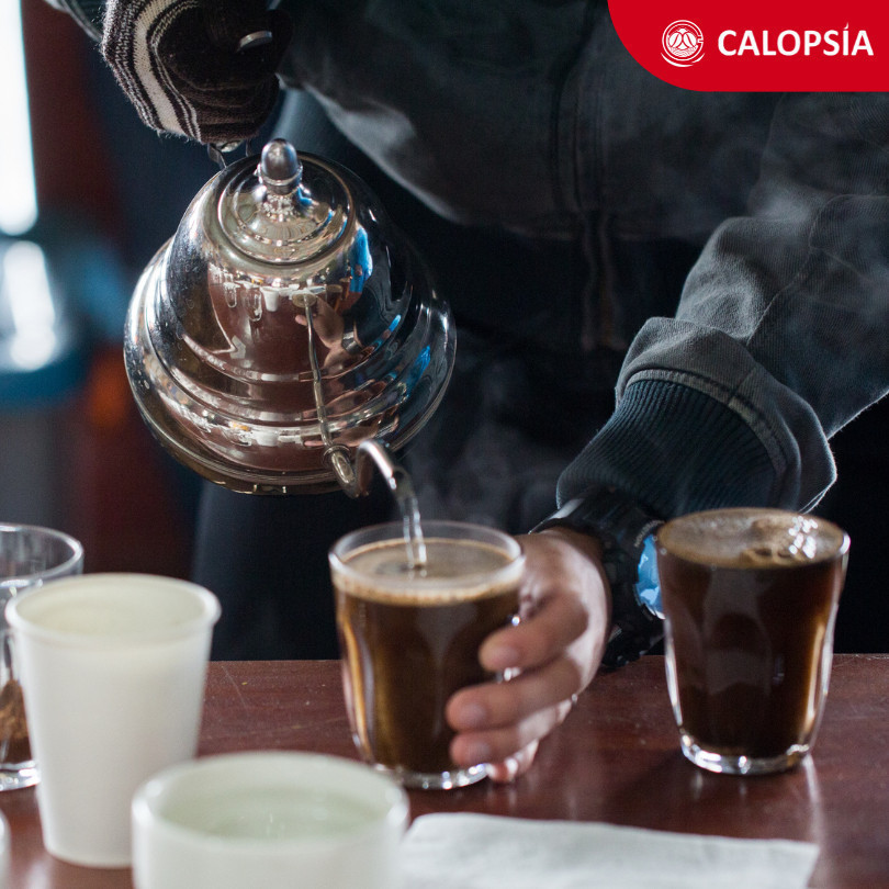 

JAMIN MURAH !!!CALOPSIA Kopi Toraja Sapan Robusta Single Origin 1 Kg (Specialty Grade 1) | Kopi Robusta(BISA LANGSUNG ORDER)