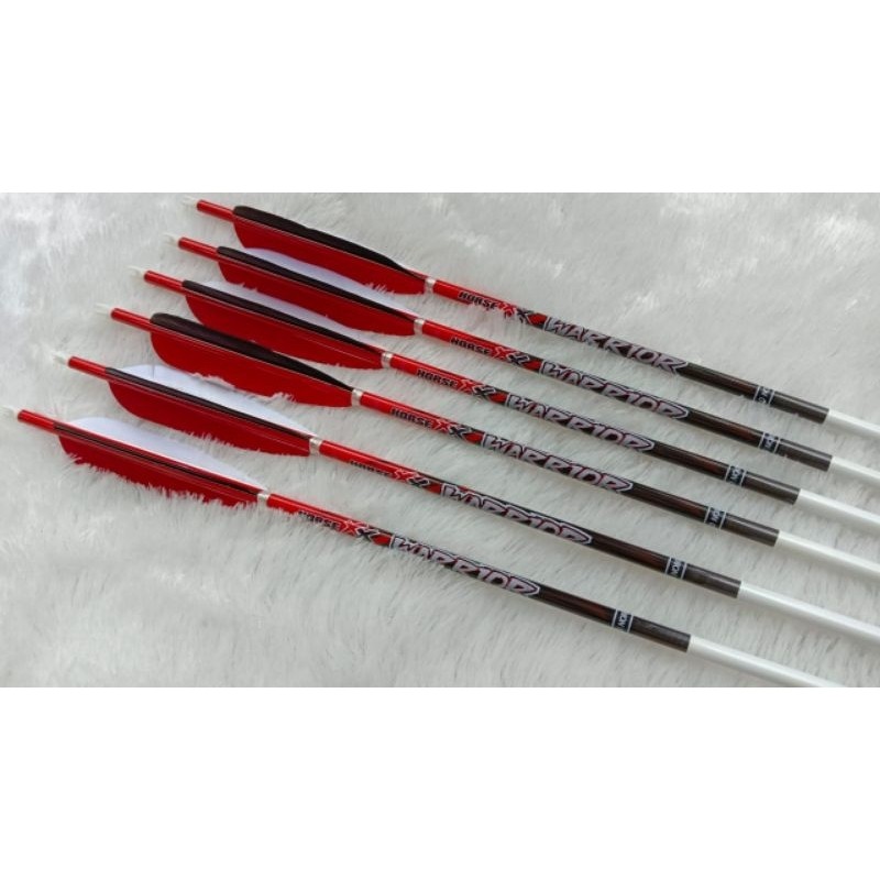 Arrow carbon warrior murah