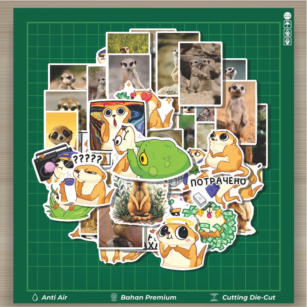 

HOT 50 PCS STIKER Stiker Animal Surik Stiker Fashion Cars Decal Dingin Kartu Album Custom Vinyl Anti Air- Sticker Aesthetic Buku Journal Koper Casing HP Tablet Laptop Helm Motor Botol Minum
