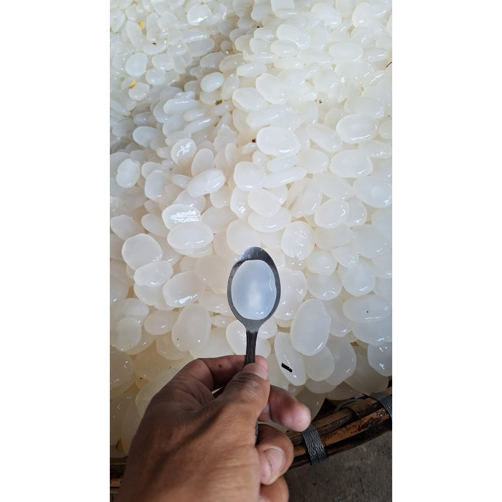 

Grosir Buah Kolang Kaling 1kg Kolang Kaling Segar untuk Manisan