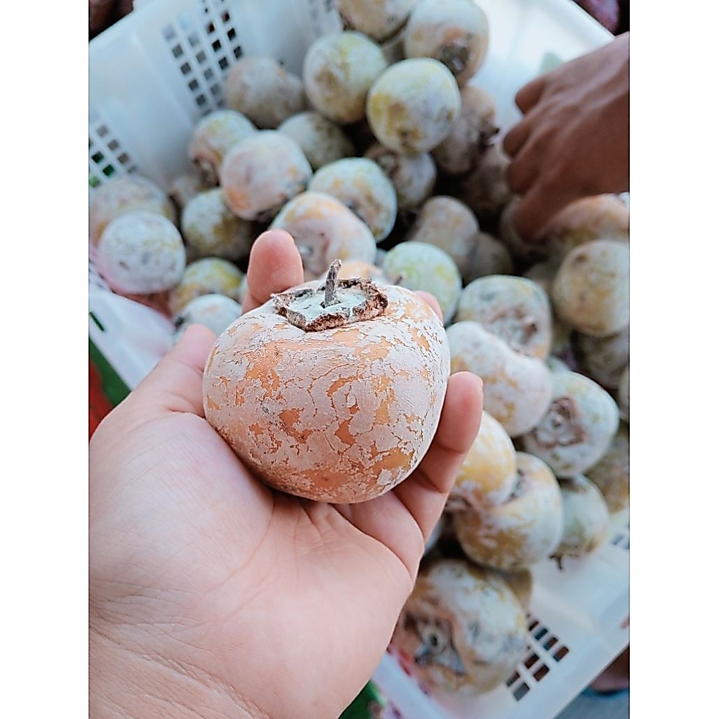 buah kesemek 1kg