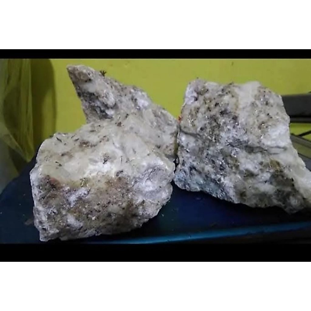 kemenyan madu putih