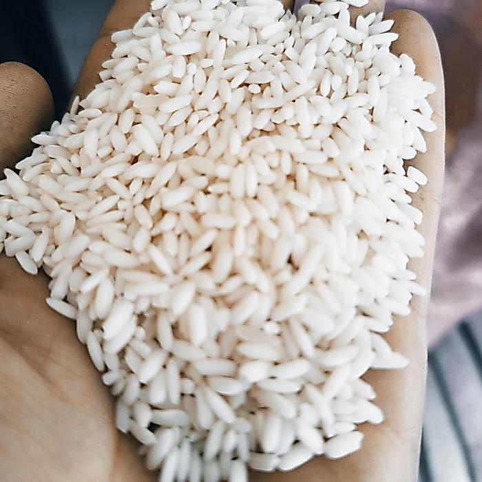 Premium Beras Ketan Putih Asli Subang Netto 25 Kg Original