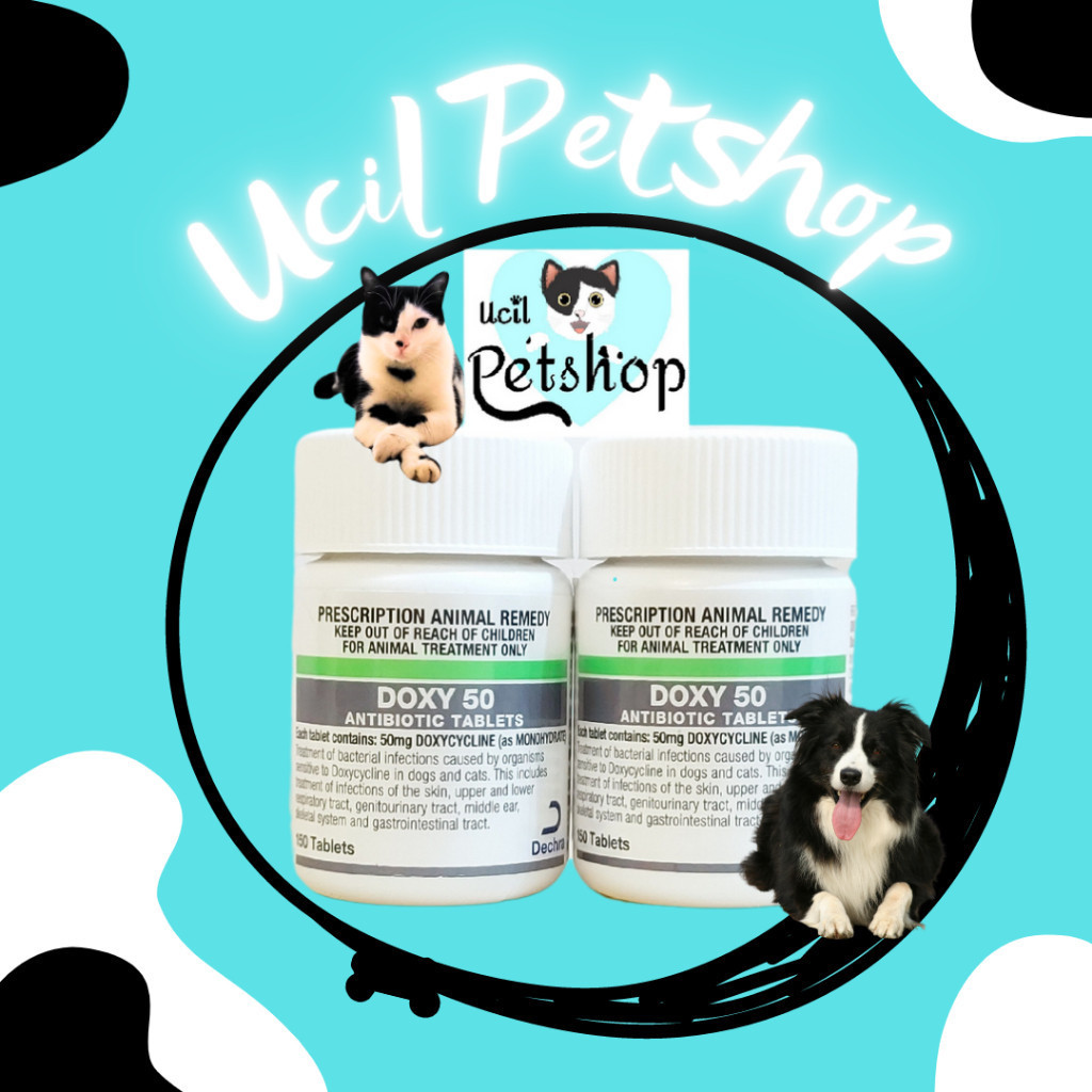 Doxy 50mg Antibiotik Anjing Kucing Doxycycline Animal Remedy (1 Tablet)