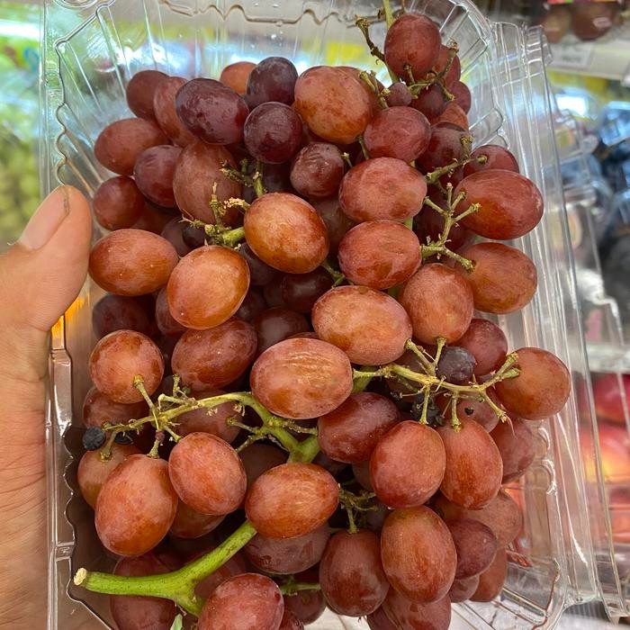 

Anggur candy snaps manis wangi tampa biji 1 kg