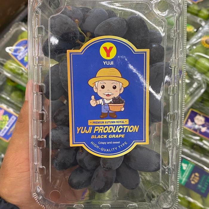 

Anggur yuji | anggur black autum manis fresh pack 500grm