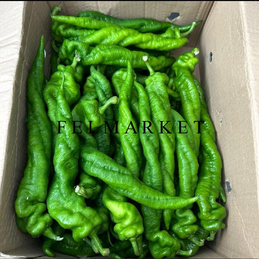 

Cabe Green Spiral Pepper Jumbo / Cabe Hijau Jumbo / Cabe Hijau Spiral / 250 gr