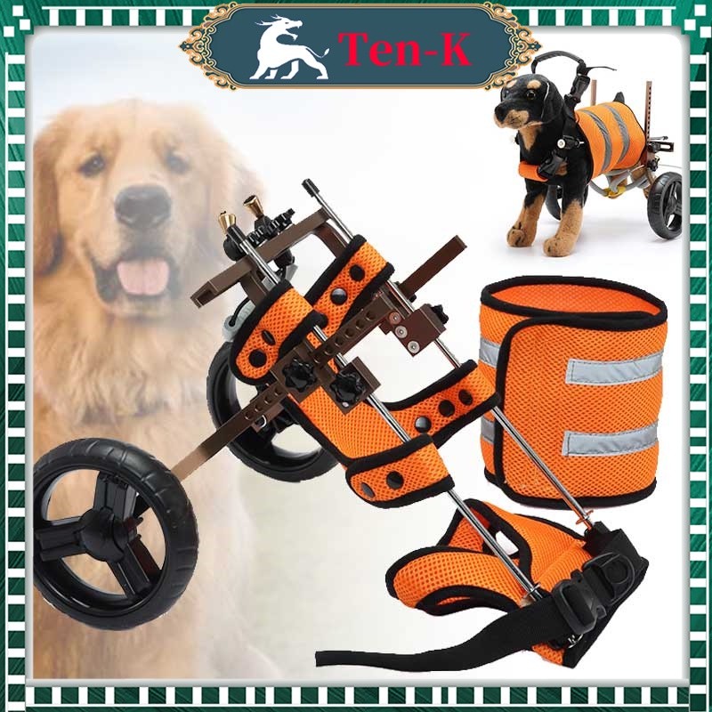 [LUXXORA] Alat Bantu Jalan Wheelchair Kursi Roda Alat Bantu Jalan Anjing Kaki Belakang Untuk Anjing