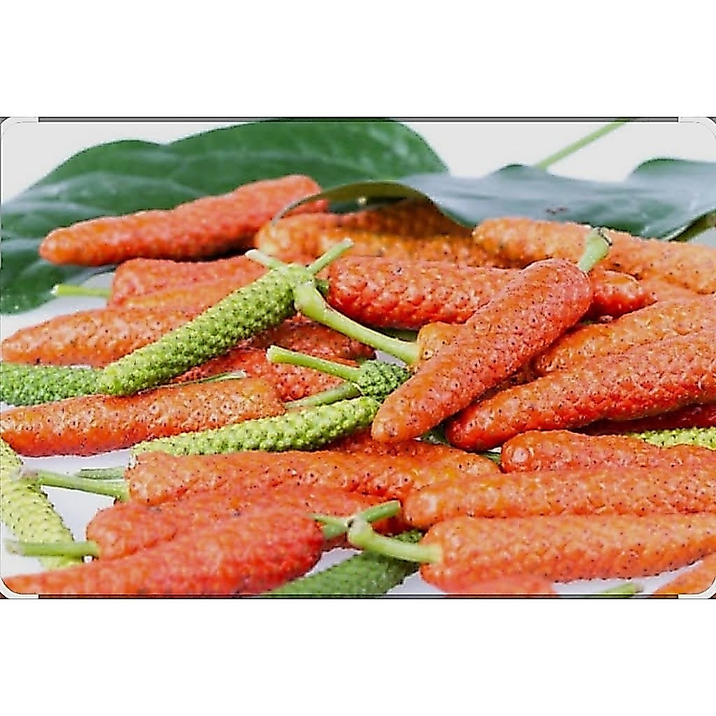 Cabe Jawa / Cabai Jamu Segar Berkualitas