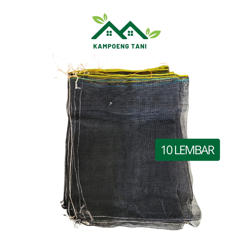10 Karung Hitam Baru Plus Tali Bungkus Buah Klengkeng Matoa Cover Buah Bungkus Klengkeng 40x58cm Jar