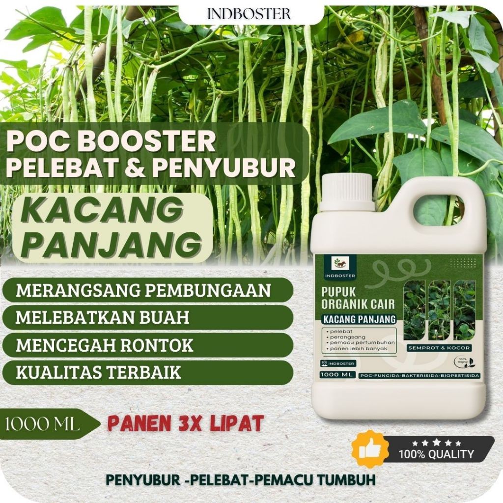 Pupuk Kacang Panjang / Pupuk Buah Kacang Panjang / Obat Pelebat Kacang Panjang Tanpa Hama dan Penyak