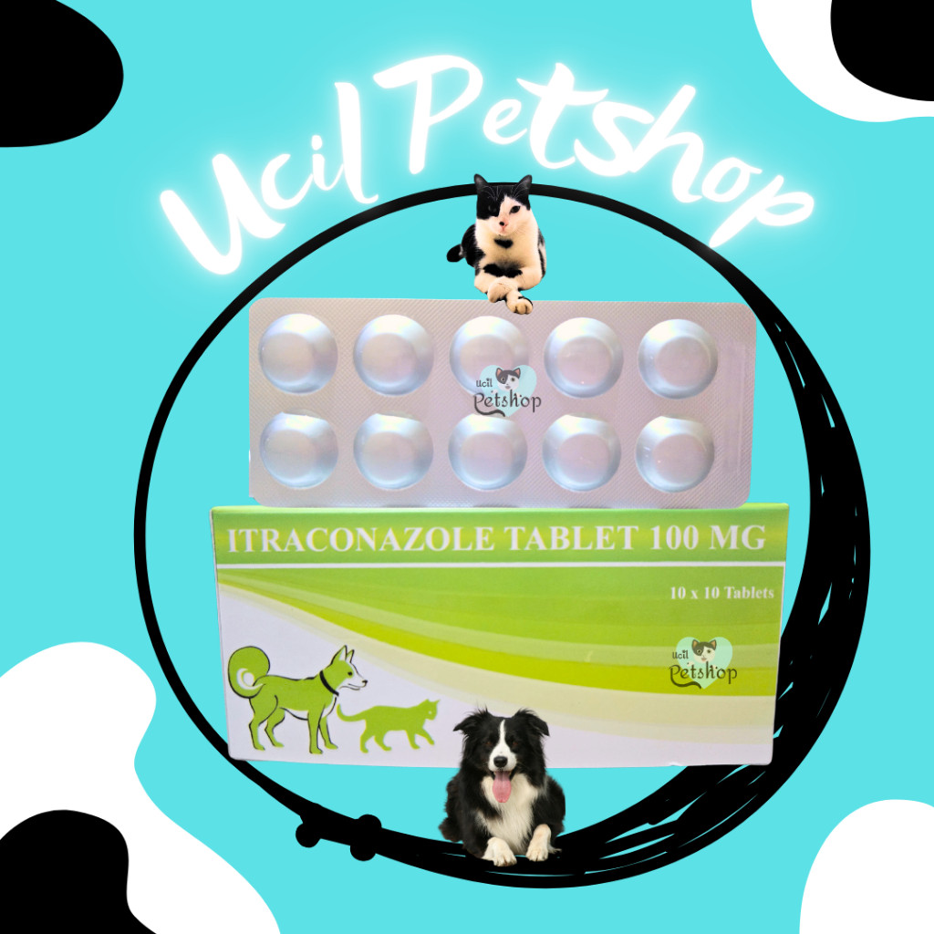 Itraconazole 100mg Obat Anti Jamur Ringworm Kucing Anjing (1 BLISTER = 10 Tab)