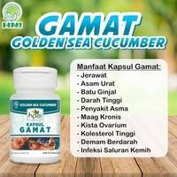 

Gamat HPAI - Penyembuh Luka Luar ataupun Pascaoperasi