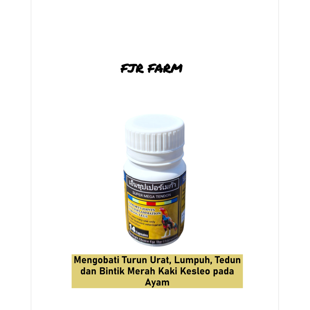 Obat Ayam Turun Urat Super Mega Tendon Obat Ayam Turun Urat Lumpuh Tedun Untuk Sakit Tedun Tedun Ram