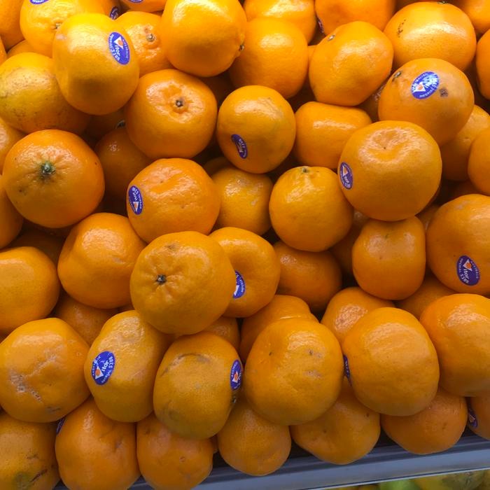 

Jeruk santang australia, jeruk kecil tanpa biji 1 kg