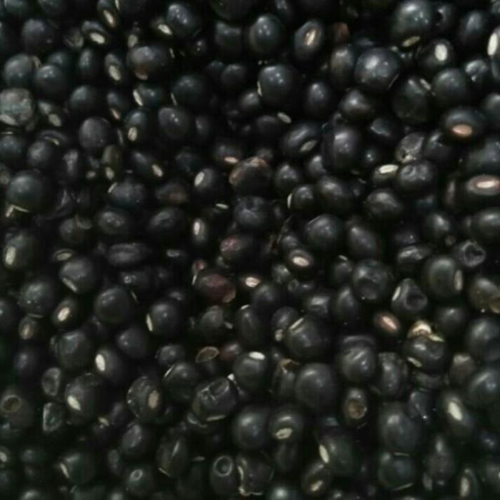 

kacang gude /hiris Kering