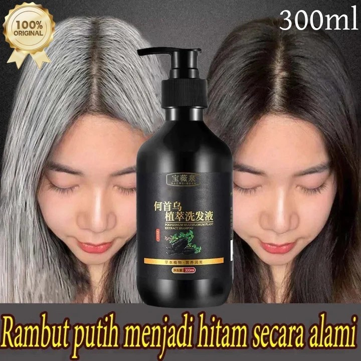 Shampo Penghilang Uban Permanen Penghitam Black Herbal Natural Polygonum Multiflorum Anti Ketombe An