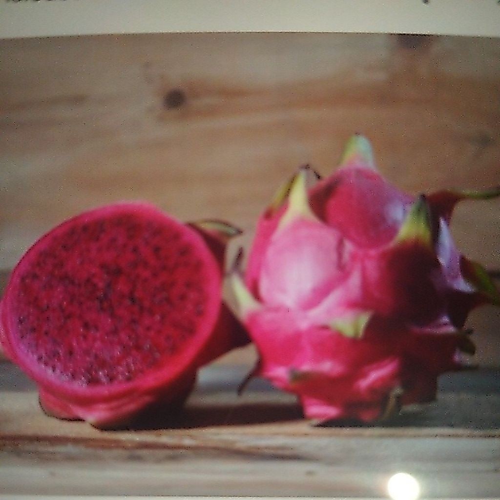 buah naga  1 kg