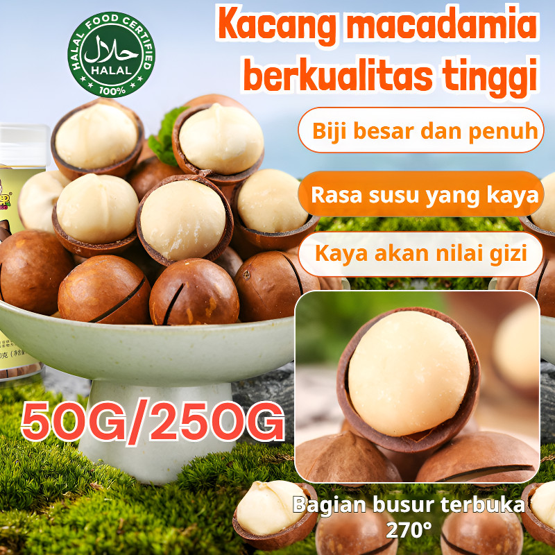 

✨COD+gratis ongkir✨Kacang macadamia kalengan baru, camilan biji besar, rasa kecil/kacang mentega macadamia besar/kacang macadamia rasa susu besar/camilan macadamia/kacang renyah rasa susu/kacang macadamia besar/camilan kacang kalengan rasa kasual