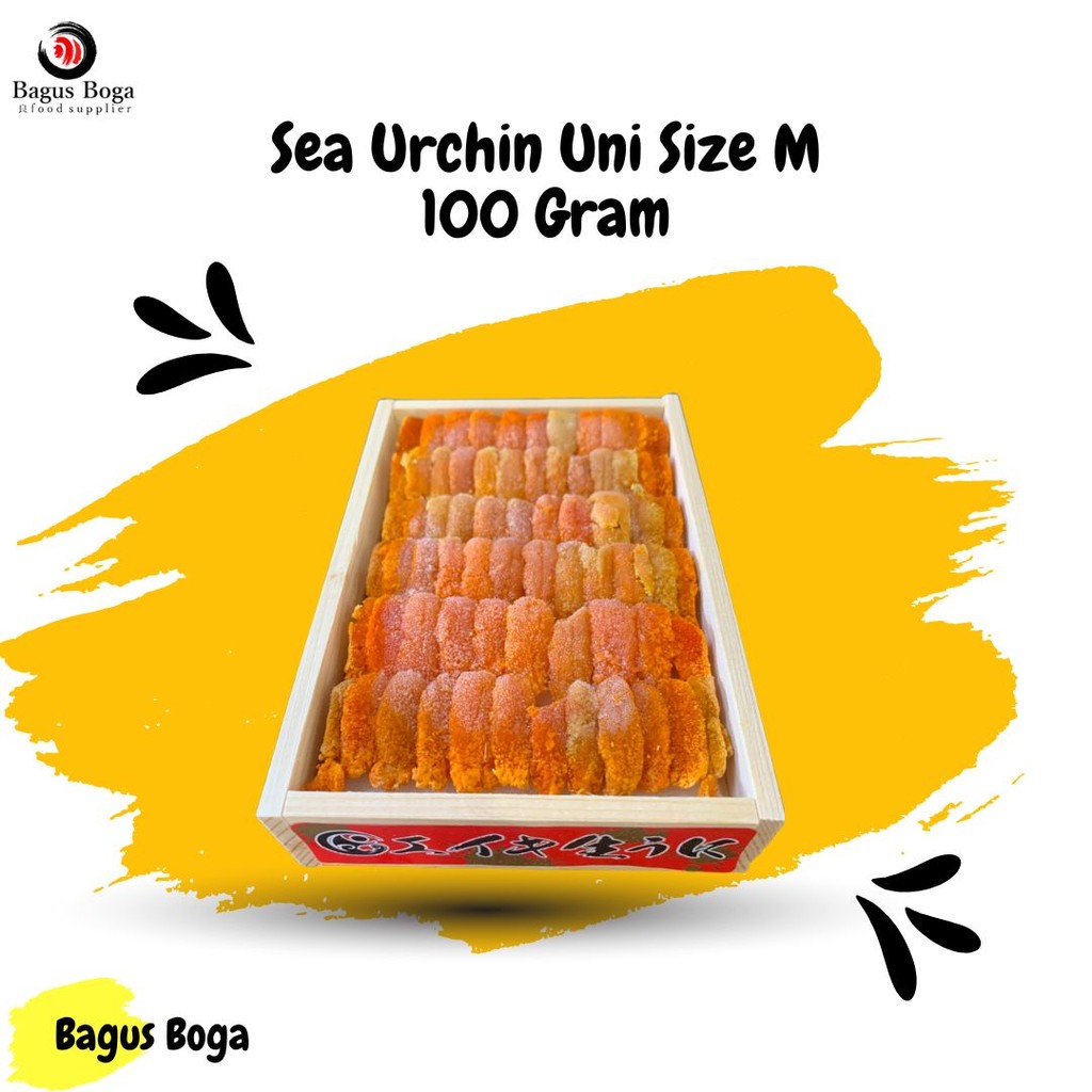 

Sea Urchin Uni Size M 100 Gram