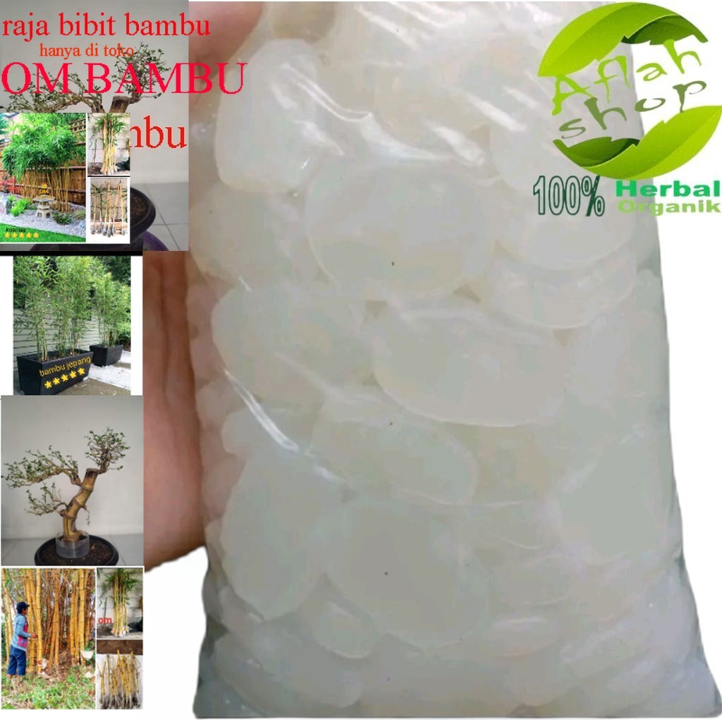 

kolang kaling segar kenyal dan bersih, kolang kaling grade A 1 kg besellr