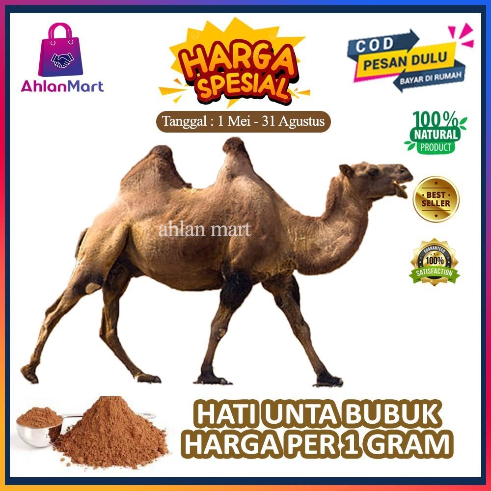 

Menyembuhkan Penyakit Paru Paru Hati Onta Unta Camel