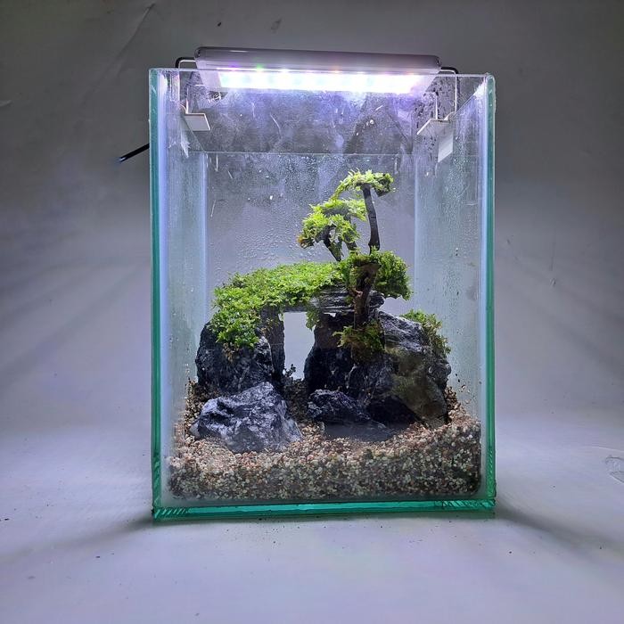 Aquarium Aquascape Mini Cupang # 36