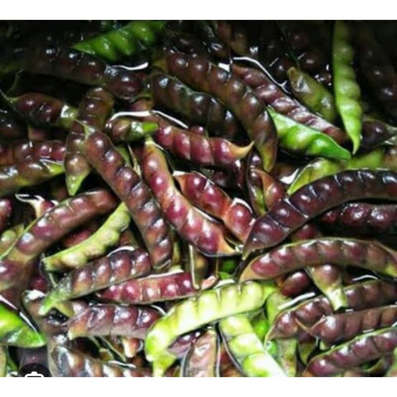 

kacang gude hitam / undis kering kemasan 200g